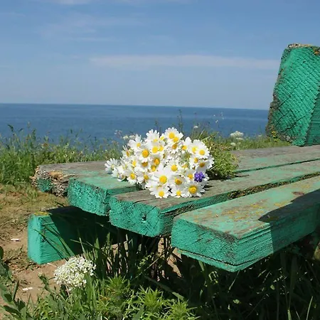 Къща за гости Complex Koral